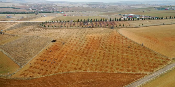 27 Aralık ormanı Ankara’ya nefes olacak