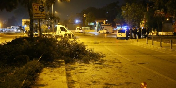 İzmir'de refüjdeki ağaca çarpan kamyonun sürücüsü yaralandı