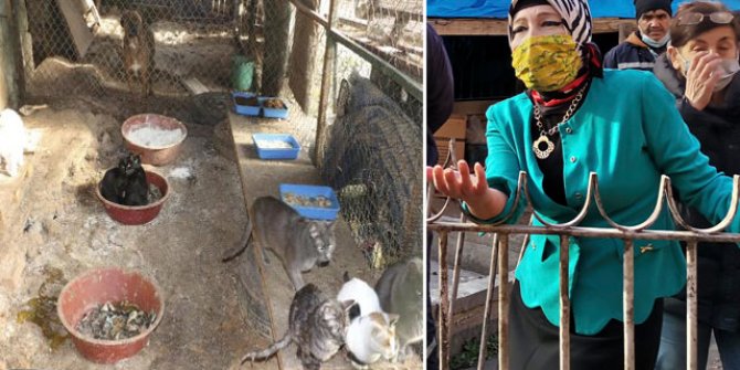 Ankara'da medyumun uygunsuz koşullarda beslediği köpeklere el konuldu