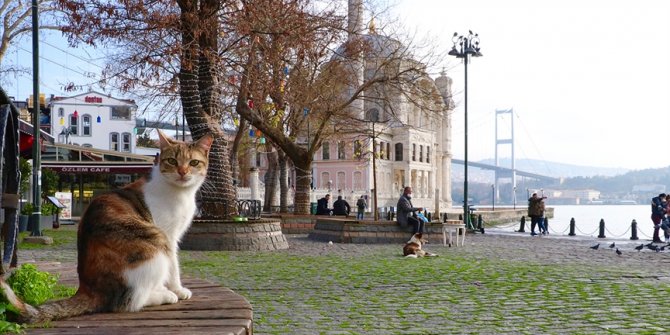 Marmara Bölgesi'nde hafta sonu sıcaklıklar mevsim normallerinin üzerinde olacak