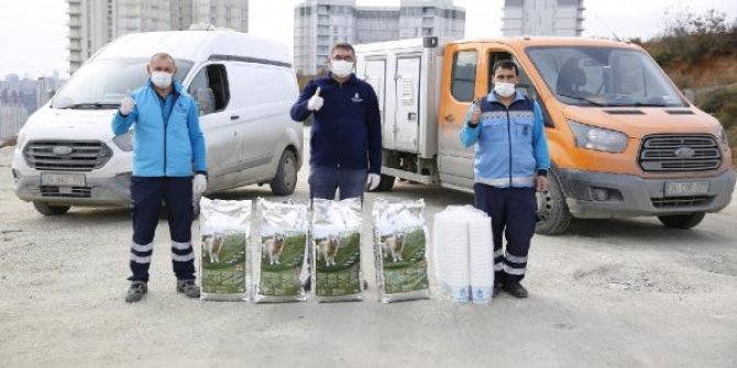 Sokağa çıkma kısıtlamasında sokak hayvanları unutulmadı