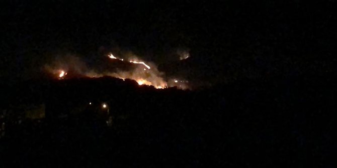 Hatay'da, 4 farklı noktada ağaçlık bölgede yangın