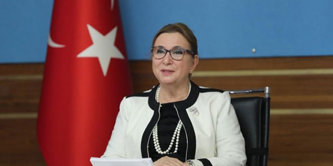 Bakan Pekcan: Brexit sürecini dakika dakika takip ediyoruz