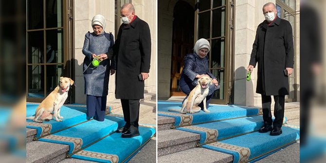 Cumhurbaşkanı Erdoğan'ı mesaiye ''Leblebi'' uğurladı