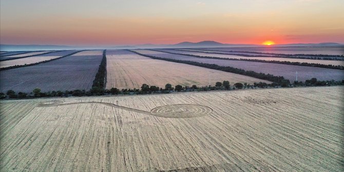 HEKTAŞ’tan Agriventis ve Arma İlaç’ı satın alma kararı