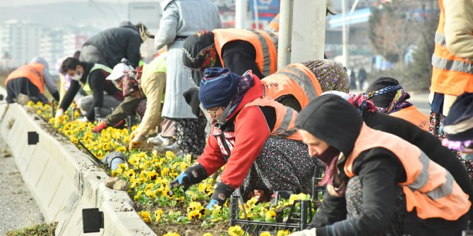 Başkent’in kışı da rengarenk