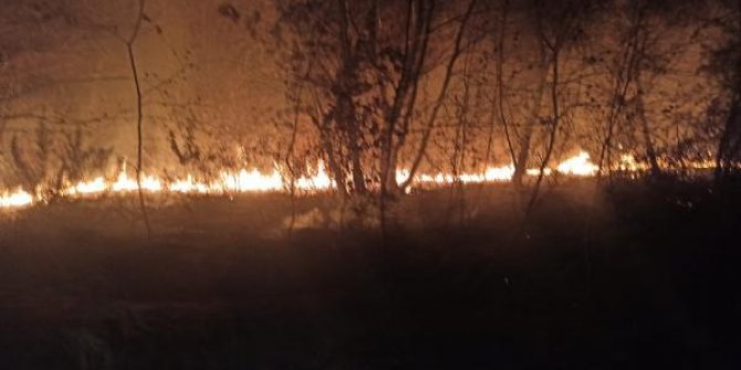 FETÖ'nün kilit ismi Adil Öksüz soruşturmasında kazı yapılan alanda yangın