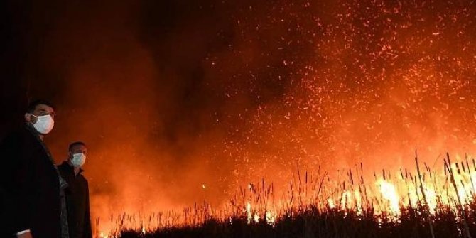 Bataklıkta çıkan yangın yerleşim yerlerine sıçramadan söndürüldü