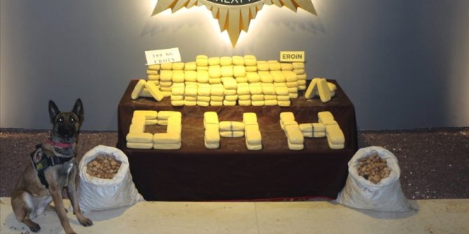 Malatya'da ceviz çuvallarına gizlenmiş 100 kilo 250 gram eroin ele geçirildi
