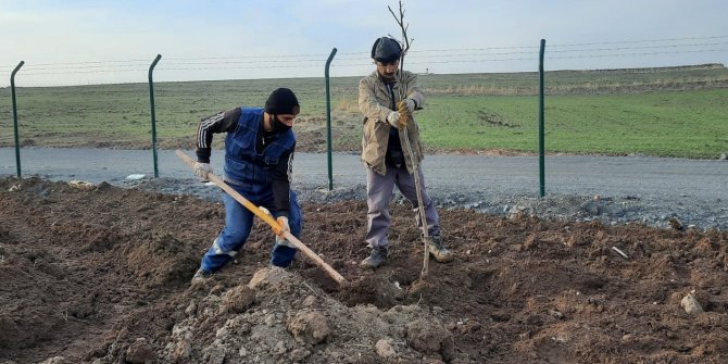 Keçiören Belediyesi 17 dönümlük meyve bahçesi kuruyor