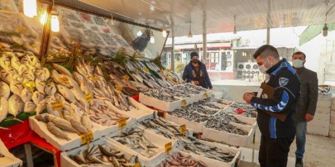 Van'da 'balon balığı' denetimi
