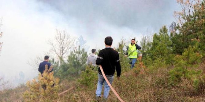 Kastamonu'da iki orman yangını