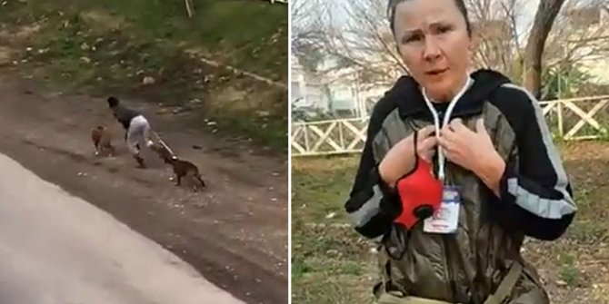 Köpeğe şiddet uygulayan kadın: Köpek döven ben, kediyi kurtaran da ben