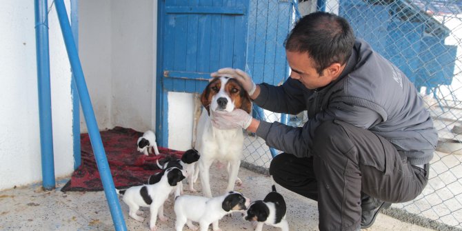 Can dostlarımızın sıcak yuvası