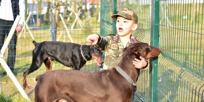 Bu park yalnızca köpeklerin