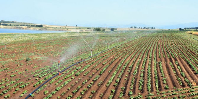 'Kuraklıkta tarım ve sulama yöntemleri değiştirilmeli'