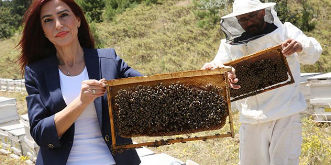 'Arıların Covid- 19'u tespiti konusunda bir test ve araştırma yapılması gerekiyor'