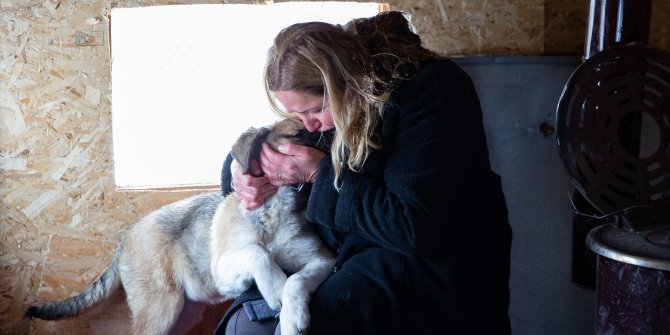 Kuş derneğinde sokak köpekleri de unutulmuyor