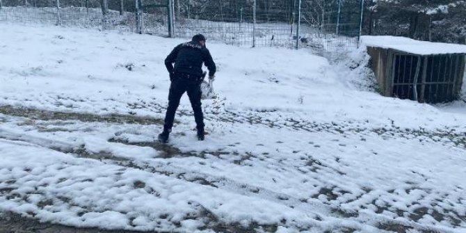 Sultangazi'de polis sokak hayvanlarını besledi