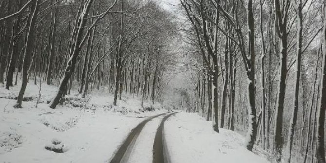 Belgrad Ormanı'nda eşsiz kar manzaraları havadan görüntülendi