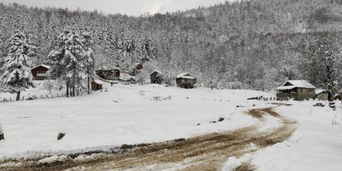 Yol kapandı; 17 kişi, kiraladıkları yayla evlerinde mahsur kaldı
