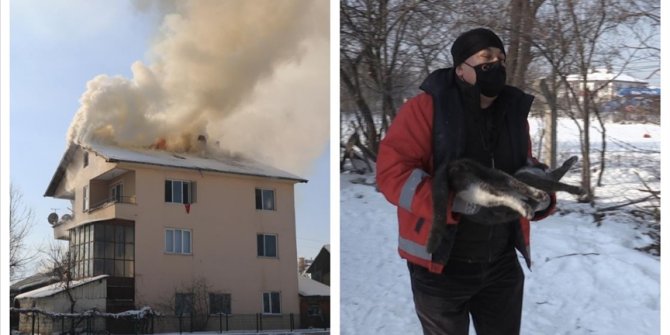 Bolu'da dumandan etkilenen kedi kalp masajıyla hayata döndürüldü