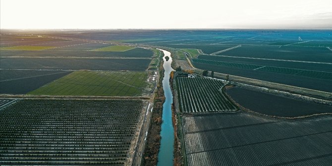 Tatlı su miktarının yüzde 70'i tarımsal sulamada kullanılıyor