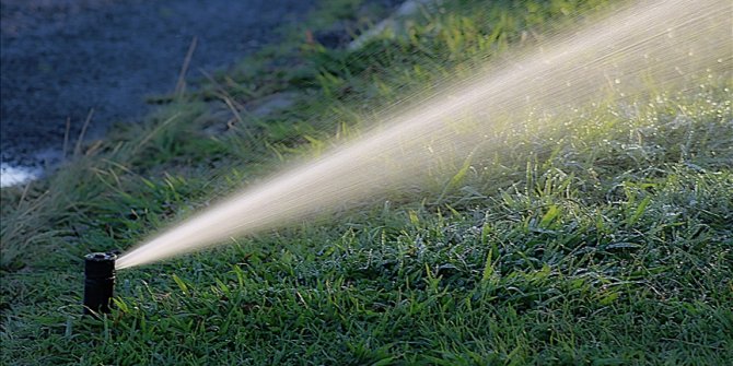 Su tasarrufu için park ve bahçe sulamasında 'gri su' kullanılması önerisi