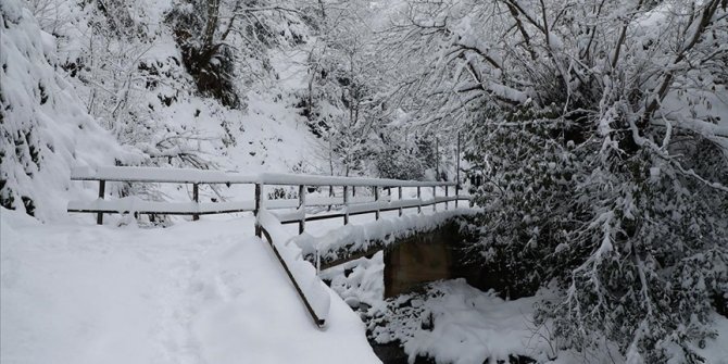 Doğu Karadeniz'de kar yağışı etkili oluyor