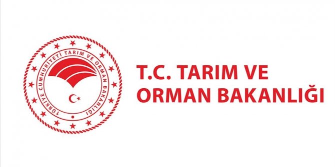 Tarım ve Orman Bakanlığından 'mobil araçlarda ve İBB'nin büfelerinde ekmek satışını yasakladığı' iddialarına yanıt