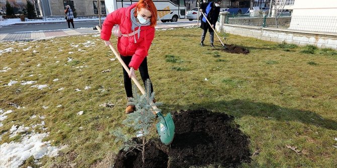 Elazığ depreminde hayatını kaybeden 41 kişi için 41 bin fidan toprakla buluşuyor