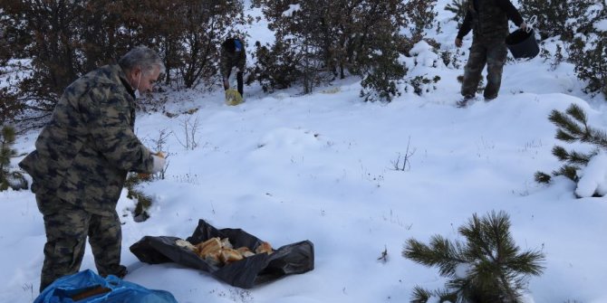 Çubuklu avcılar yabani hayvanlar ve sokak hayvanları için doğaya yem bıraktı