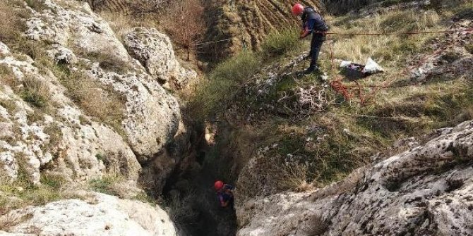 Kayalıklarda mahsur kalan keçileri AFAD ekipleri kurtardı