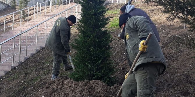 Ağaçlandırma seferberliği devam ediyor