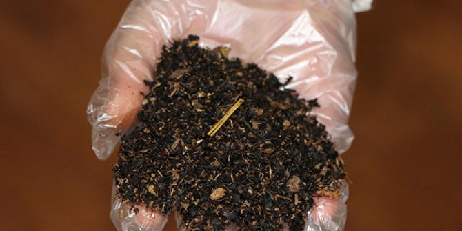 Aldığı çay paketlerinden hayvan gübresi çıktı