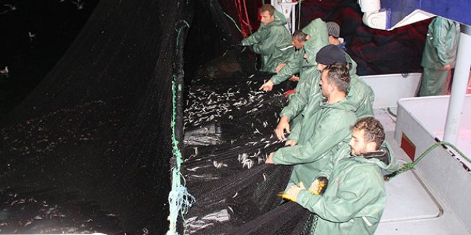 Karadeniz’de ‘ek tedbirlerle’ hamsi avı yeniden başladı