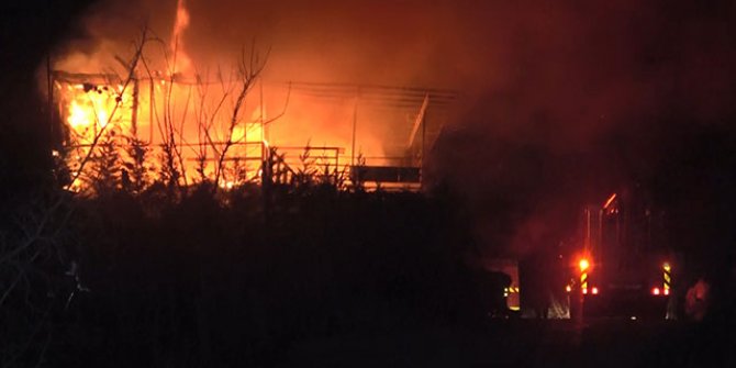 Osmangazi Ormanı'nda korkutan baraka yangını