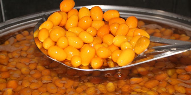 Tüketimi giderek yaygınlaşan 'kumkat' ile haftalık 400 kilo reçel yapılıyor