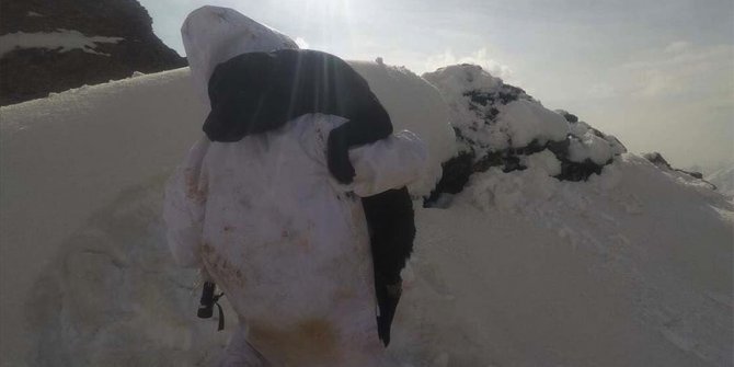Mehmetçiğin zorlu hava şartlarındaki vatan nöbetine 'can dostları' eşlik ediyor