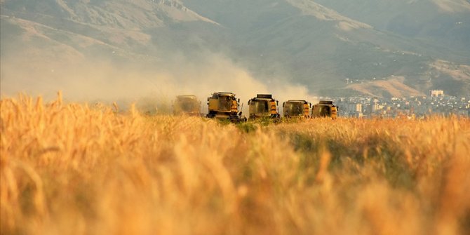 Tarım Kredi bu yıl 3,7 milyar liralık ürün alacak