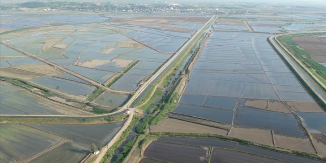 Modern sulama tesisleri Edirne çiftçisine yıllık 272 milyon 950 bin lira ilave gelir sağlıyor