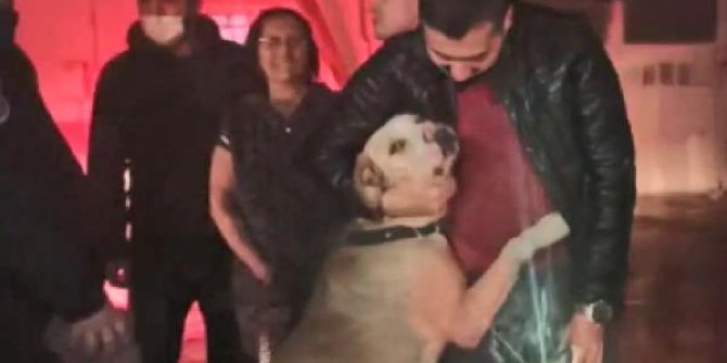 Yangından baygın kurtarılan köpek, kendine gelince yanan dükkanın önünde sahibini bekledi