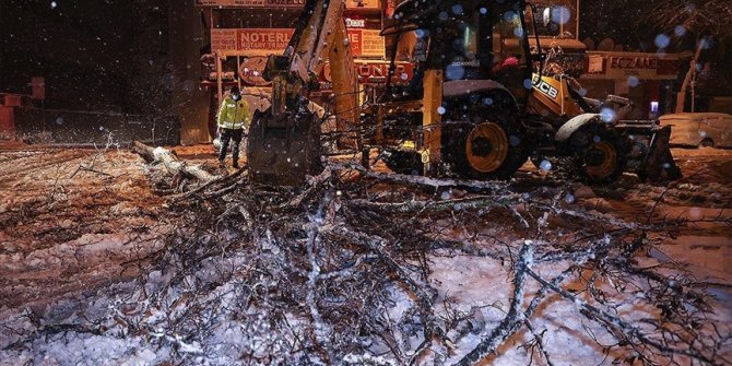 İstanbul'da kar yağışı nedeniyle bazı bölgelerde ağaçlar devrildi