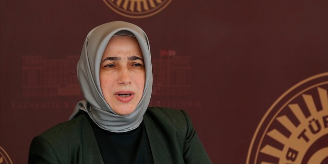 AK Parti'li Zengin hayvan hakları yasasını çok kısa süre içinde tamamlayacaklarını söyledi