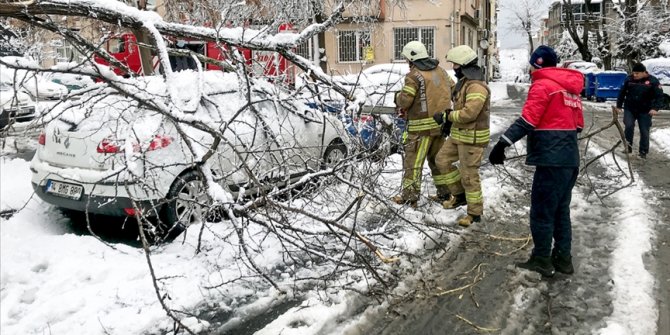 İstanbul'da kar yağışı ve fırtınada 517 ağaç ve direk devrildi