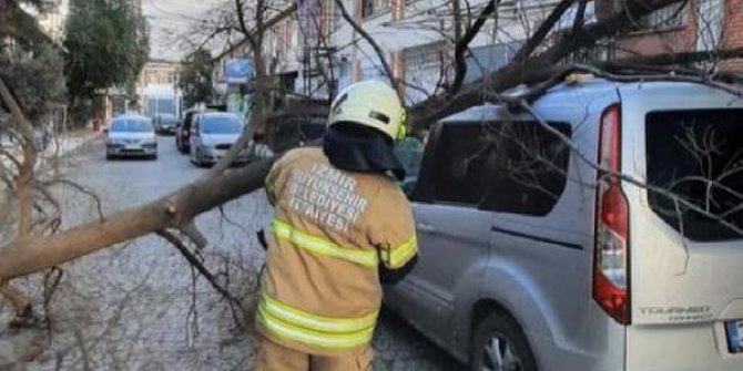 İzmir'de fırtına; ağaçlar devrildi, çatılar uçtu, araçlar zarar gördü