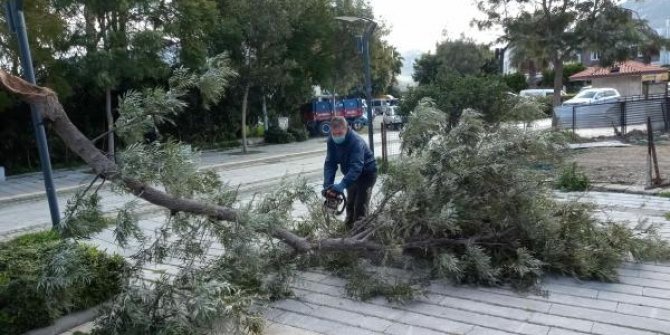 Bodrum'da fırtına hayatı olumsuz etkiledi