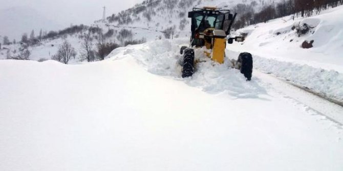 Bingöl'de 281 köy yolu kardan kapandı