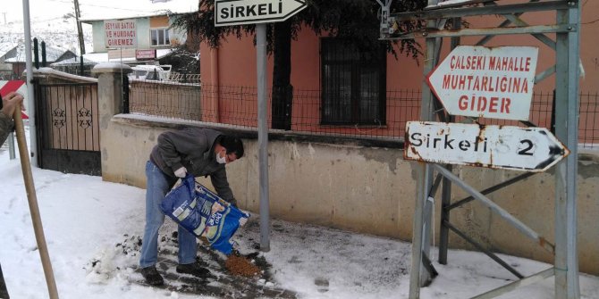 Keçiören'de ekipler, sokak hayvanlarına yiyecek bıraktı