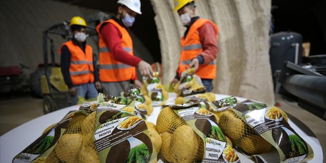 Nevşehir'de laboratuvarda analiz edilen patates pişirme amacına göre paketleniyor